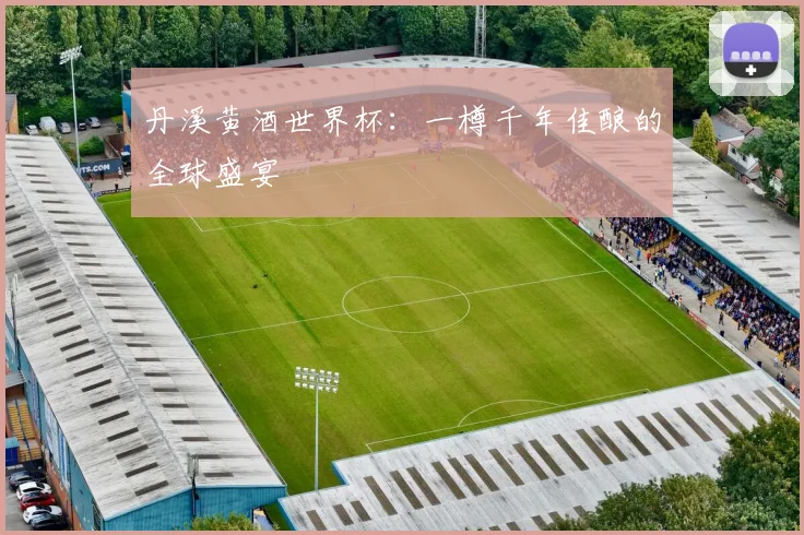 丹溪黄酒世界杯:一樽千年佳酿的全球盛宴