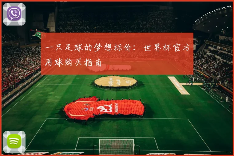一只足球的梦想标价：世界杯官方用球购买指南