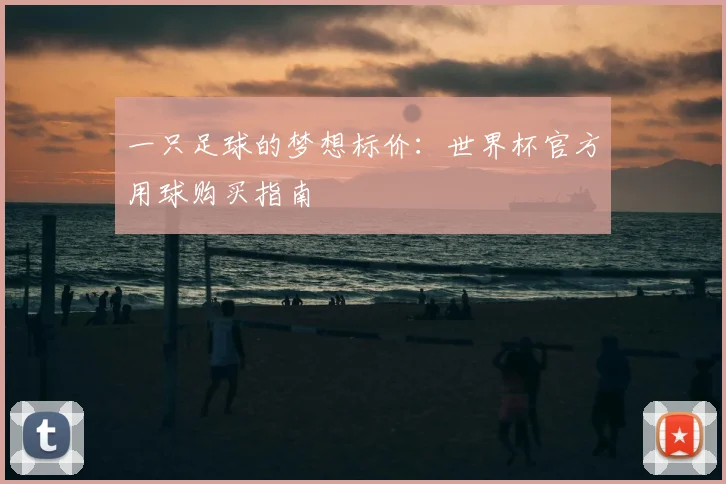 一只足球的梦想标价：世界杯官方用球购买指南