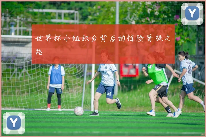 世界杯小组积分背后的惊险晋级之路